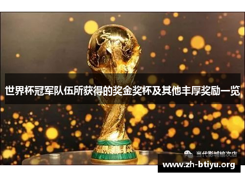 世界杯冠军队伍所获得的奖金奖杯及其他丰厚奖励一览